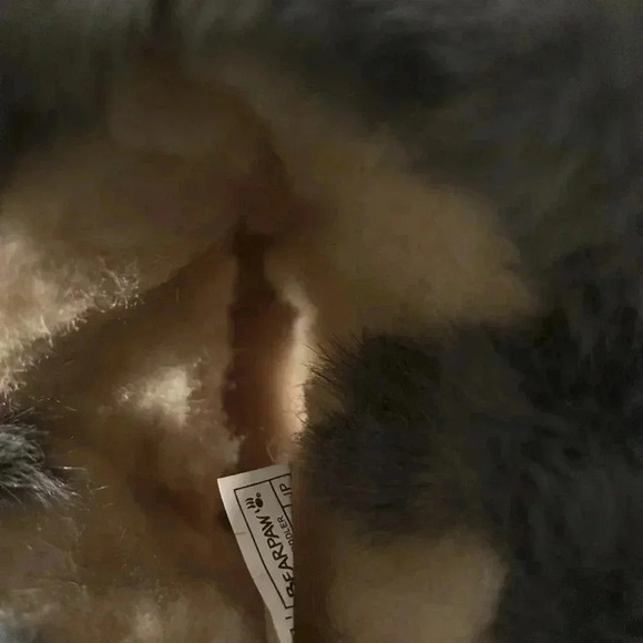 BEARPAW Betsy Gray Fog suede boot, wool blend, sheepskin,rain/stain repellent-11 - Picture 8 of 13